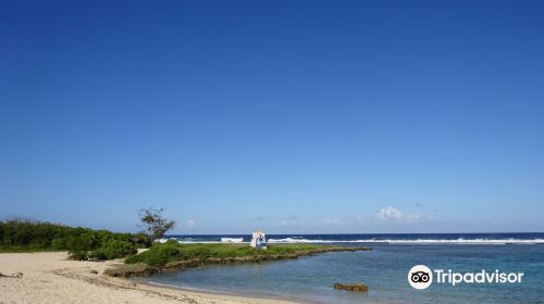 タロフォフォ海岸