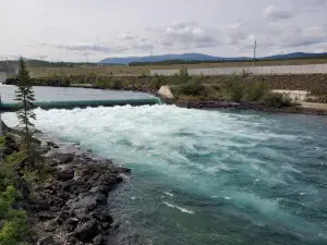 Whitehorse Fishway