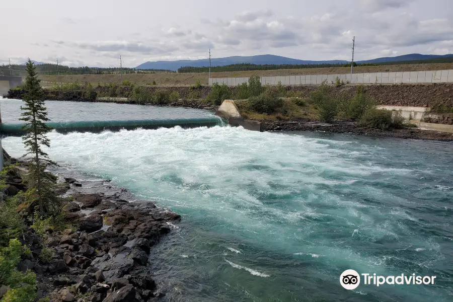 Whitehorse Fishway