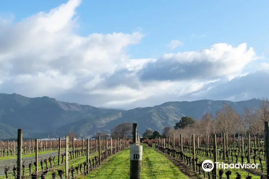 Allan Scott Family Winemakers