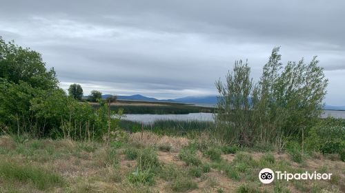 Wood River Wetland