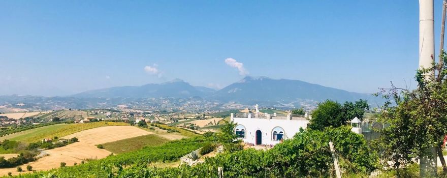 Tenuta Torretta