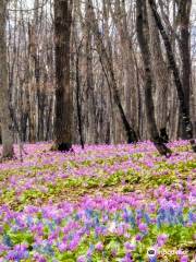 Otokoyama Natural Park