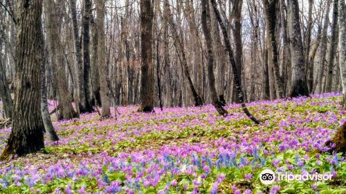 Otokoyama Natural Park