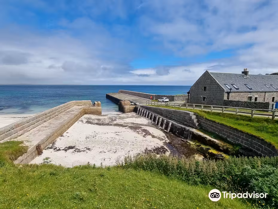 ${{cityDName}} Coll uçak bileti