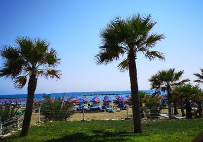 Pyla