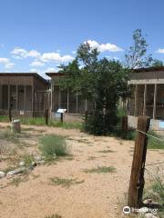 New Mexico Wildlife Center