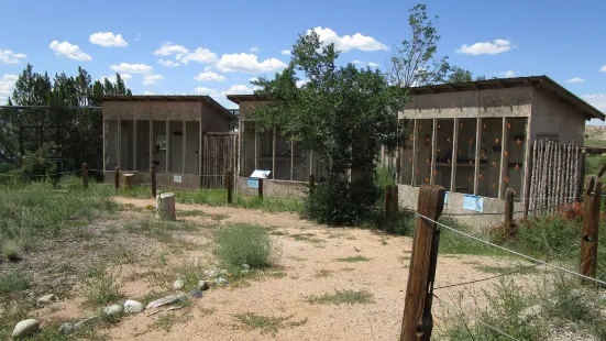 New Mexico Wildlife Center