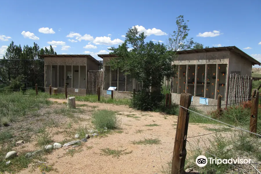 New Mexico Wildlife Center