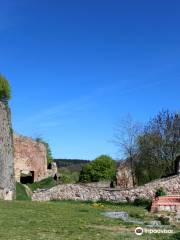 Château de Donaustauf (ruines)