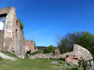 Donaustauf castle ruins