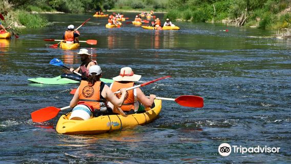O Pioneiro do Mondego