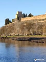 Ciudad Rodrigo - Casco Historico