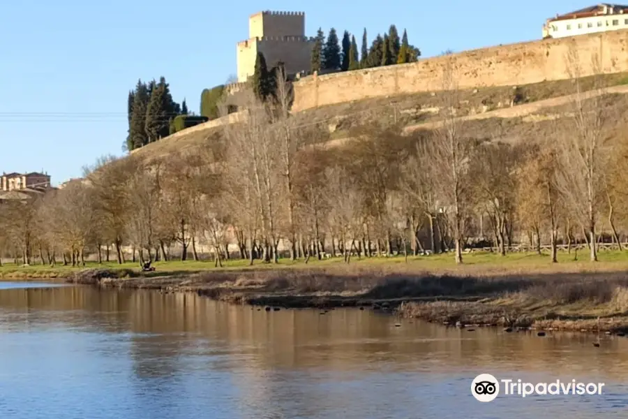 Ciudad Rodrigo - Casco Historico