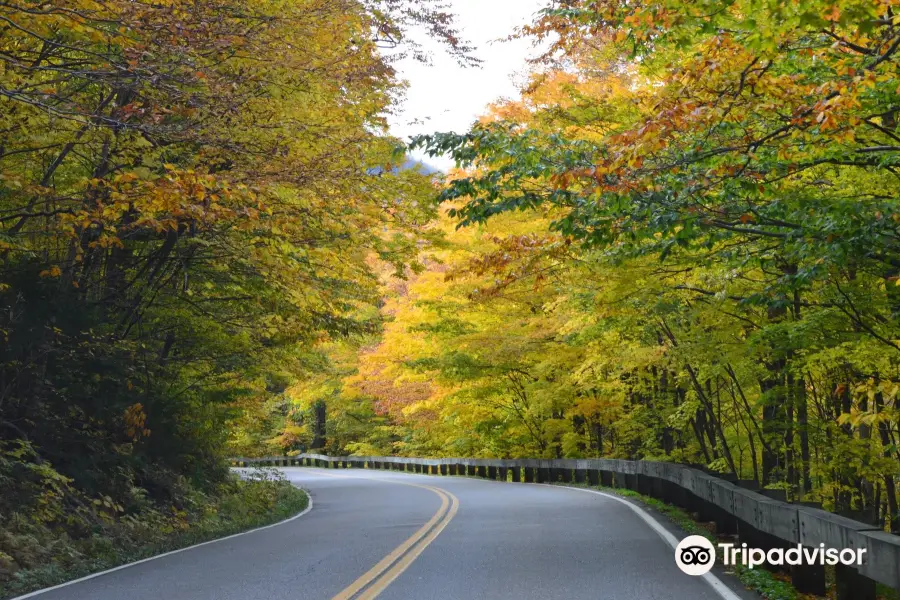 Smugglers' Notch State Park Campground