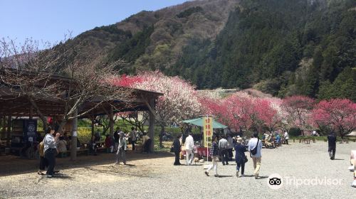 園原の里