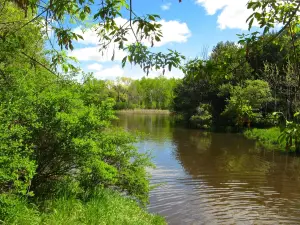 Battle Creek Dog Park