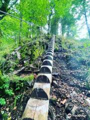 Hirschgrund - Zipline Area Schwarzwald