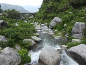 Rock Garden, Devi Dehra