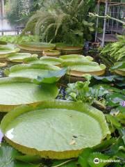 Botanischer Garten der Universität Kiel