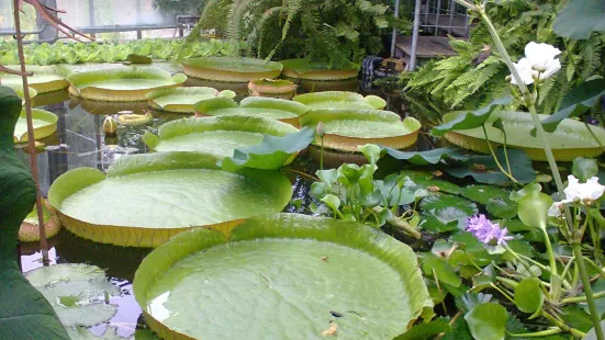 キール大学植物園