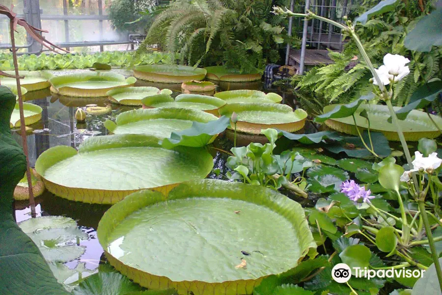 Botanischer Garten der Universität Kiel