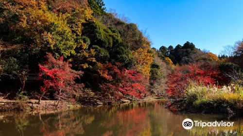 Izumi Nature Park