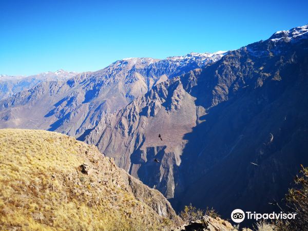 Mirador Cruz del Condor