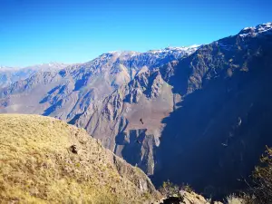 Mirador Cruz del Condor