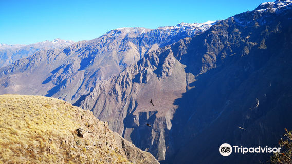 Mirador Cruz del Condor