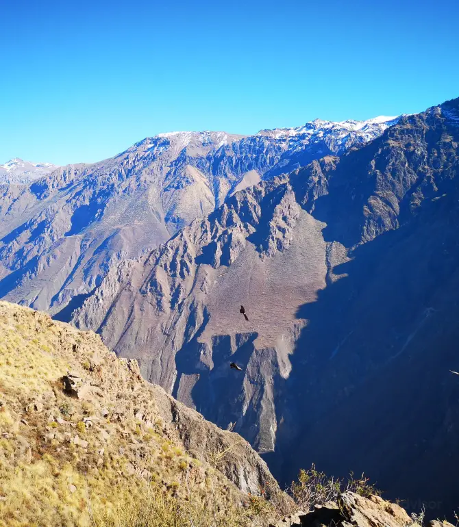 Caylloma Province