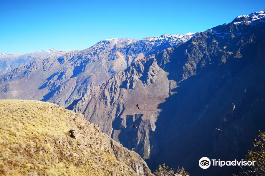 Mirador Cruz del Condor