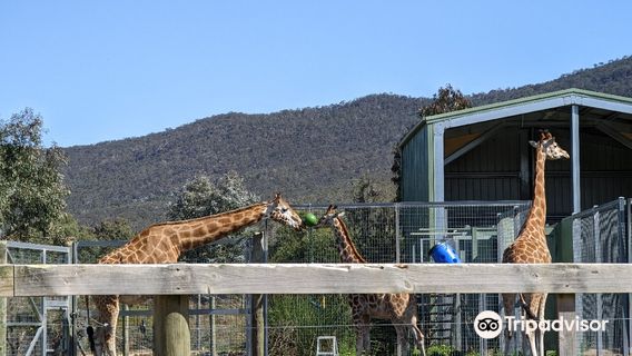 Halls Gap