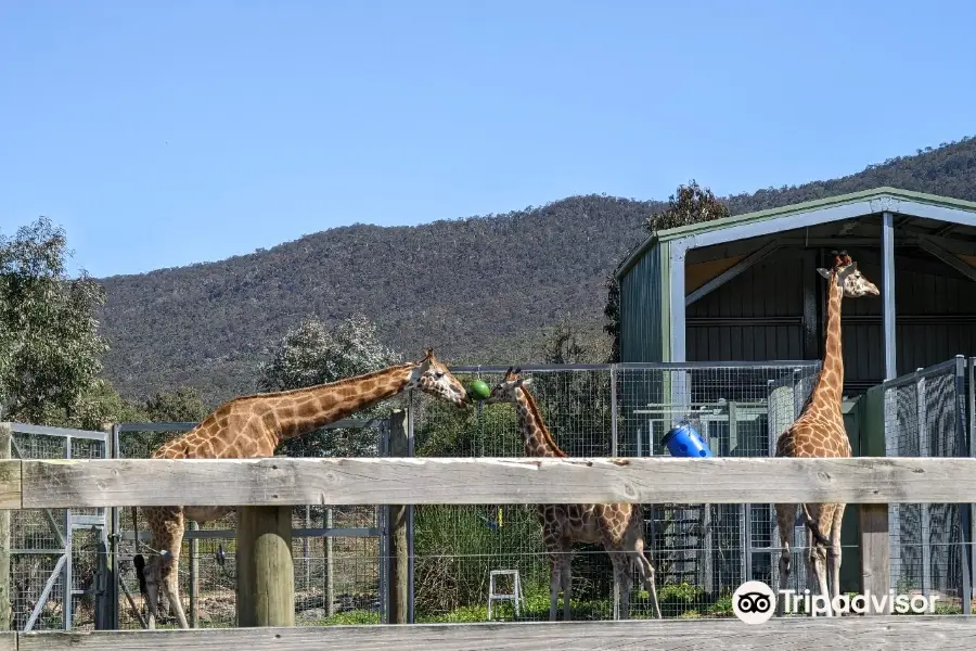 ホールズギャップ動物園