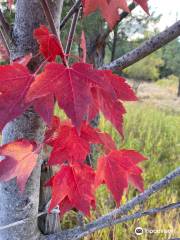 Ontario State Recreation Site