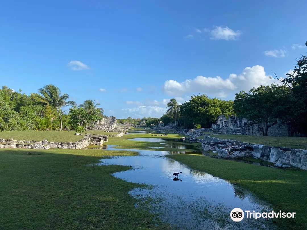 5_El Rey Archaeological Zone
