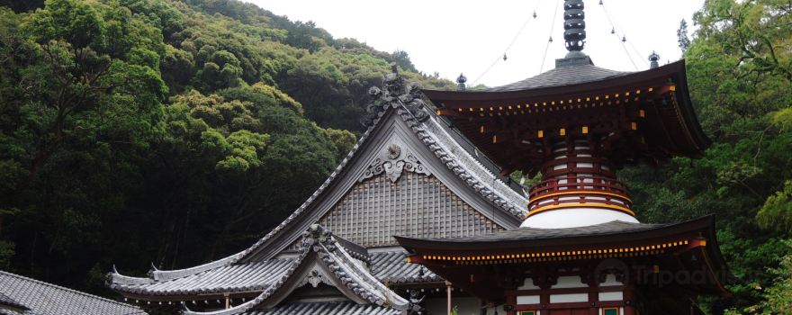 Temple No. 36 - Shōryūji