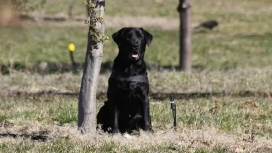 The Truffle Farm Canberra