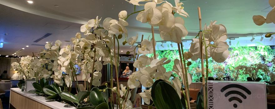 Fiji Airways Premier Lounge