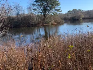 Quogue Wildlife Refuge