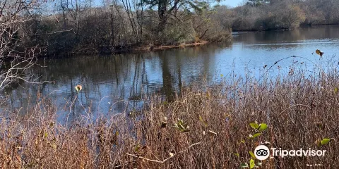 Quogue Wildlife Refuge
