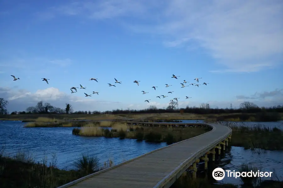 RSPB Langford Lowfields