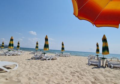 Albena