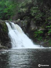 Abrams Falls