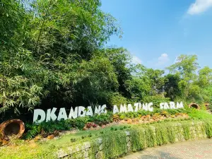 D'kandang Depok