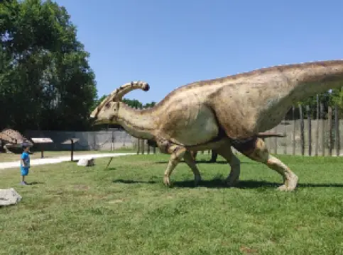 Aquarium of Cattolica