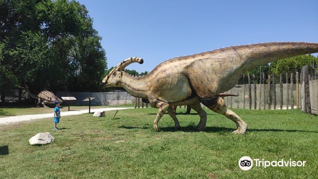 Aquarium of Cattolica
