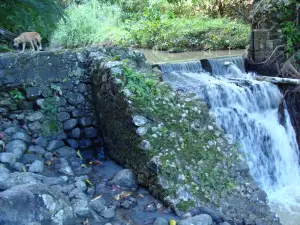 LaTille Falls and Garden