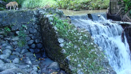 LaTille Falls and Garden