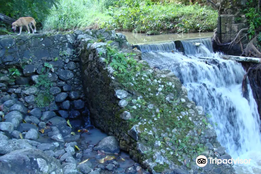 LaTille Falls and Garden